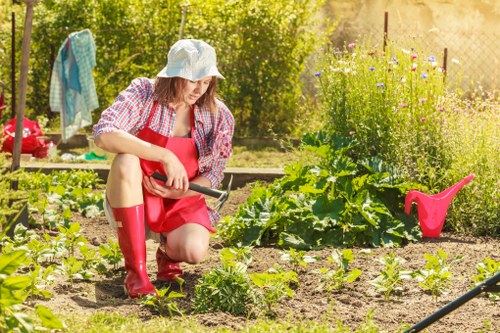 A woman in a garden is kneeling on the soil, using a small gardening tool to tend to young, leafy green plants growing in a designated vegetable bed. She is dressed in a plaid shirt, red apron, red waterproof boots, and a wide-brimmed hat for sun protection. The garden features clearly defined planting areas with rows of small plants, surrounded by rich, dark soil. In the background, there are flowering plants, a wooden fence, and garden tools including a pink watering can. The environment is bright and sunny, with lush green foliage and a natural outdoor setting, suggesting active gardening and lawn care typical of residential gardens in Tufnell Park, London. This scene emphasizes outdoor maintenance, planting, and nurturing of a home garden, aligning with professional gardening services offered by Lawn Mowing Tufnell Park.