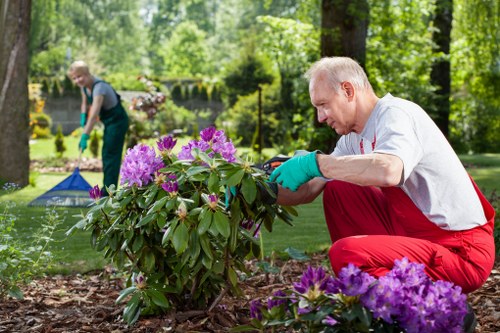 Crew documenting garden maintenance work for a communal garden