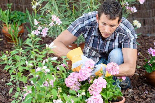 Professional gardeners planning a landscape design in Tufnell Park
